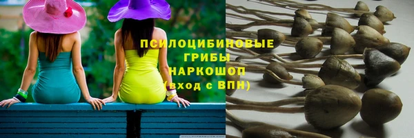 марки lsd Нязепетровск