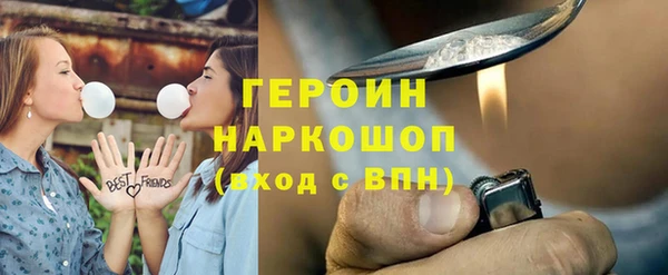гидра Новодвинск