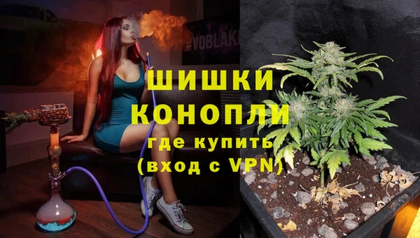 PSILOCYBIN Нягань
