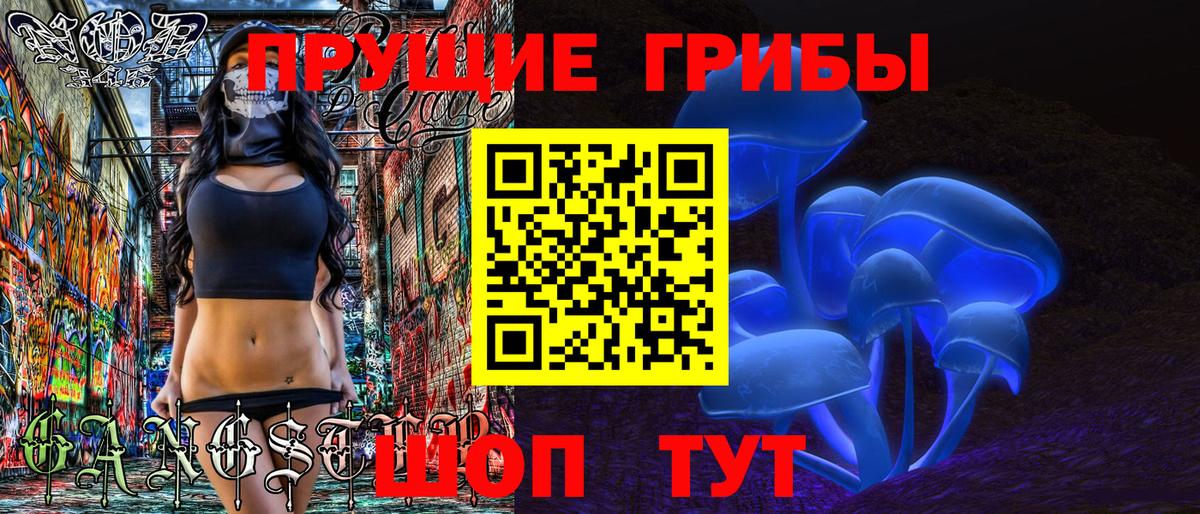 Галлюциногенные грибы GOLDEN TEACHER  где купить   Лиски 